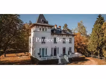 maison avec terrasse tarare (69)
