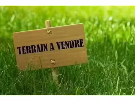 terrain