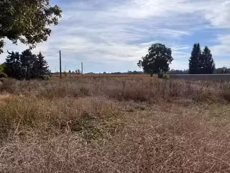 vente terrain 479 m² à artzenheim (68320)  94 591 €
