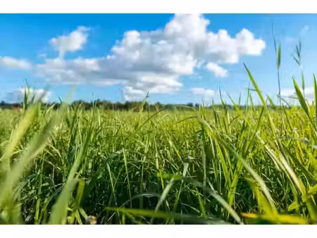 vente terrain 442 m² à hourtin (33990)  116 000 €