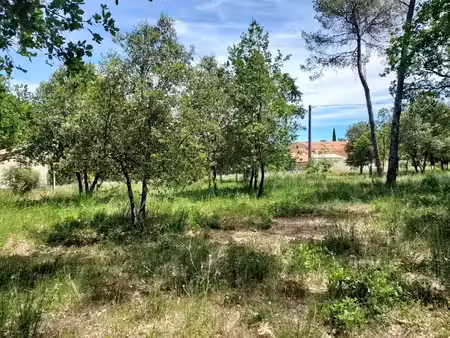 vente terrain 705 m² à garéoult (83136)  140 000 €