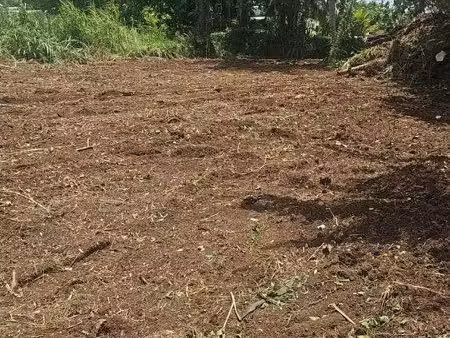 petit-bourg – terrains à vendre avec projet maison