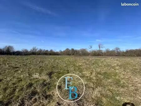 terrain 355 m² valognes