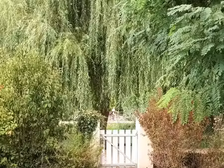 recherche petite maison jardin