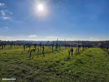 terrain 3450 m² saint-macaire