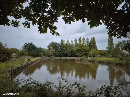 etang