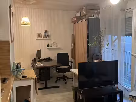 appartement 1 pièce 29 m²
