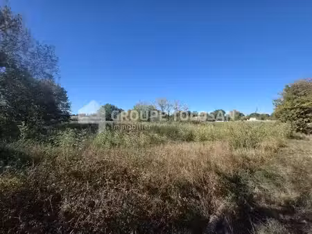vente terrain 9650 m² à cambounet-sur-le-sor (81580)  189 000 €