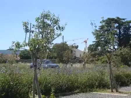 vente terrain 255 m² à hyeres (83400)  225 000 €