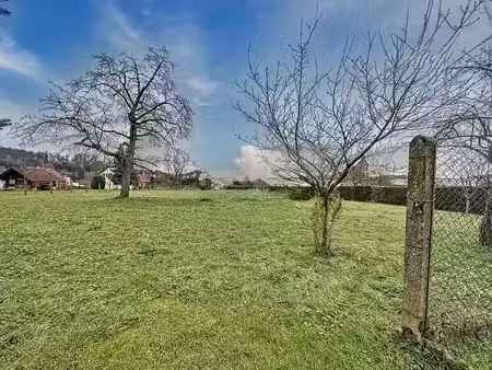 vente terrain 2900 m² à bettendorf (68560)  290 000 €