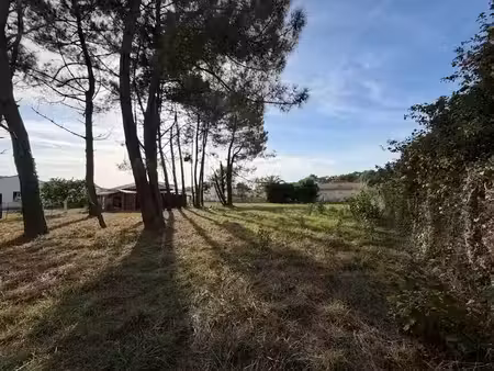 vente terrain 924 m² à saint-palais-sur-mer (17420)  299 900 €