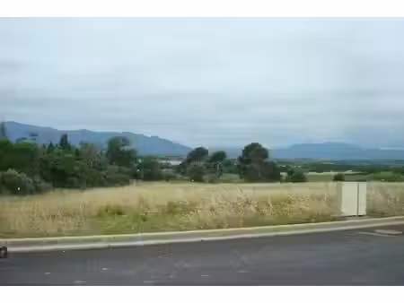 vente terrain 1350 m² à villeneuve-de-la-raho (66180)  530 000 €
