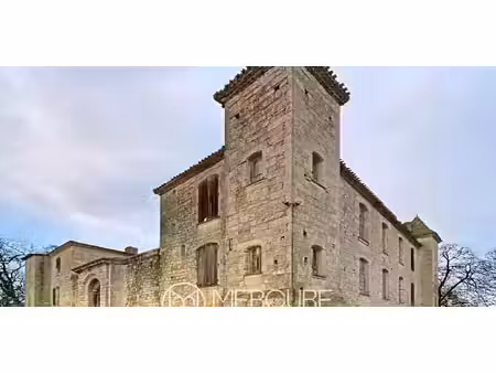 château saint-leonard (32)
