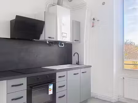 appartement refait à neuf t3 chalette sur loing