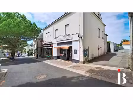appartement carquefou duplex à renover plein bourg 6 pièces 133 m2