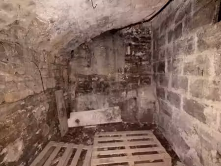 cave lyon 2