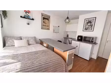 studio 1 pièce 20 m²