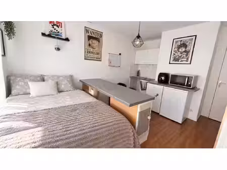 appartement 1 pièce