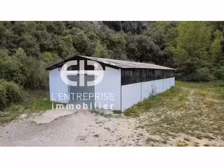 vente entrepôt saint blaise 06670 225m²