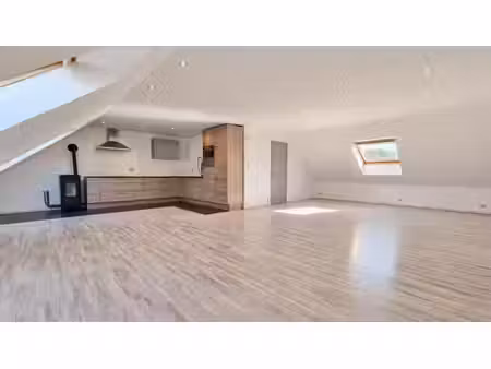 spacieux appartement 1 chambre avec parking remis a neuf