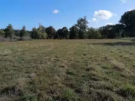 vente terrain à ploërmel (56800) : à vendre / 4000m² ploërmel