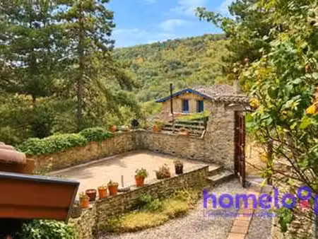 vente maison à messimy (69510) : à vendre / 350m² messimy