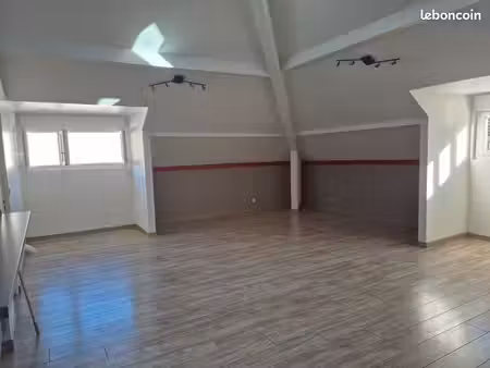 appartement loft 110m² (81.53m² loi carrez)