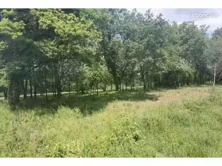terrain 3 700 m² cubjac