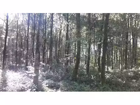 parcelle boisée 3.5 ha