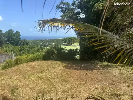 terrain 1 111 m² gourbeyre