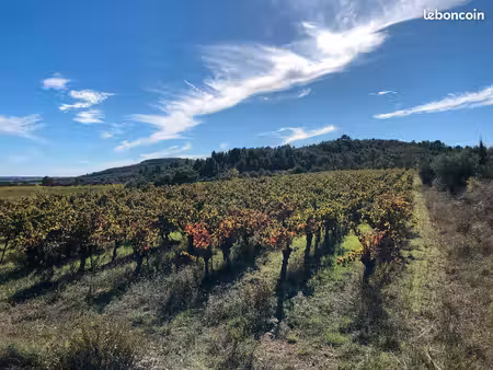 vends parcelles de vignes