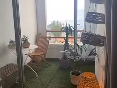 appartement 1 pièce 37 m²
