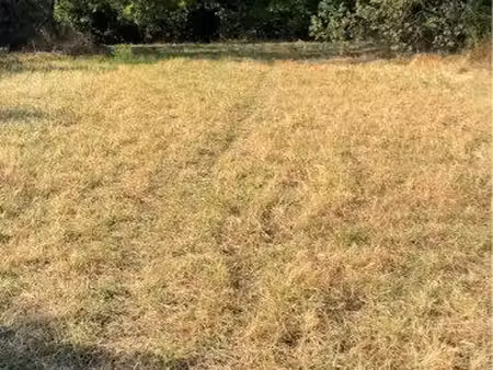 recherche terrain agricole à louer
