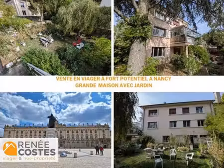 viager occupé - f72 ans - nancy (54000)