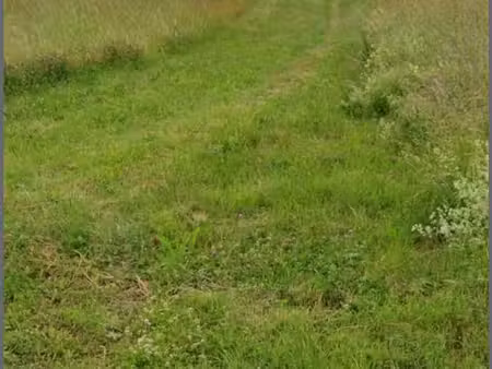 terrain à bâtir 21 ares 70