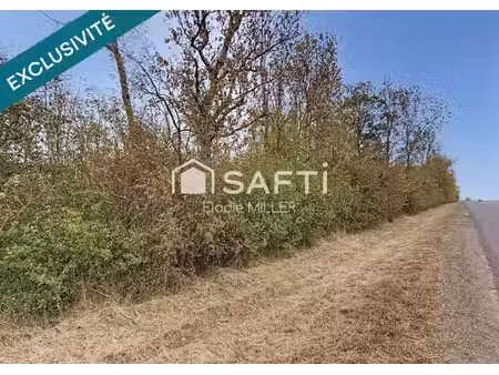 5 855 m² de parcelle boisée