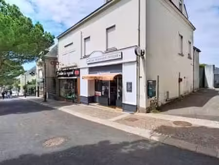 vente appartement 6 pièces et plus à carquefou (44470) : à vendre 6 pièces et plus / 133m²