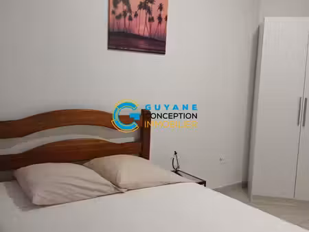 grand appartement t2 meuble