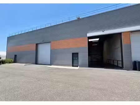 local professionnel 277 m2 meyzieu