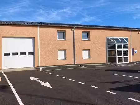 location local d’activités pusignan 69330 60m² à 878m²