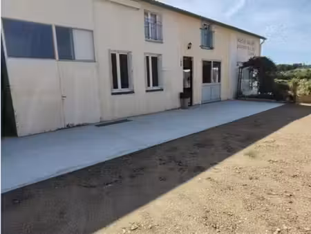 41170  locaux d'activité sur 500m2 avec grand appartement divisible