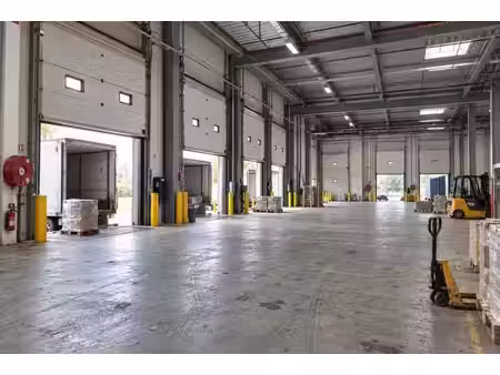 location entrepôt fontenay en parisis 95190 10000m²
