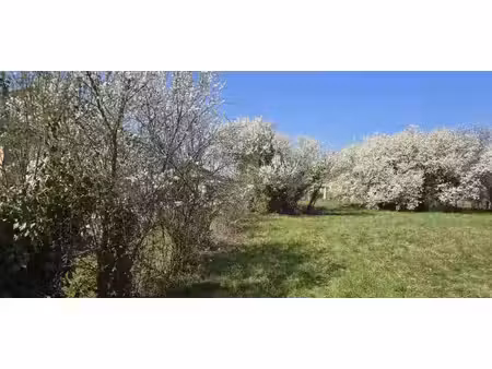 sainte euphenie -terrain 1213 m2