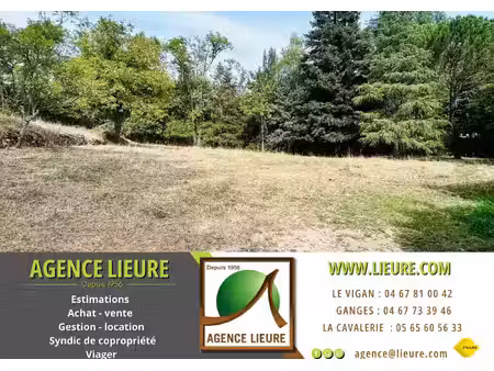 achat terrain 4 412m² alzon 30770