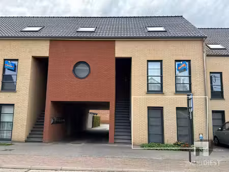 immo diest