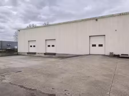 location entrepôt toulouse 31000 290m²