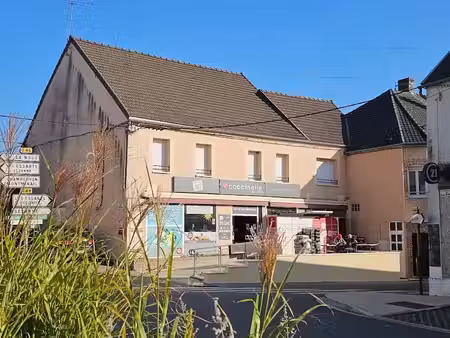 vente immeuble 0 pièces 535 m² à esternay (51310)  199 000 €