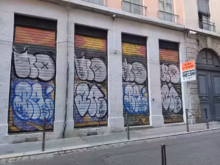 achat local commercial 200m² lyon 1er