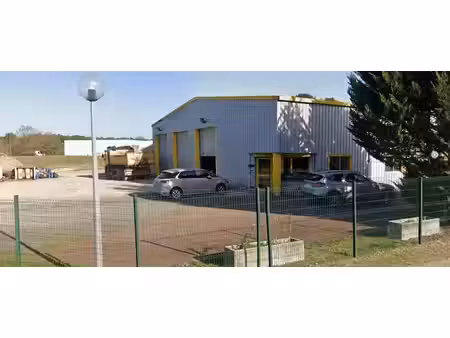 achat local professionnel 610m² chatillon sur cher 41130