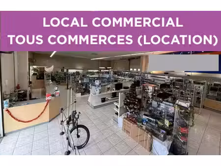 location commerce muret 31600 278m²